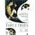 Three Times [DVD] [2005]