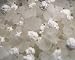Calcium Chloride Crystals - 7923182 - Bci