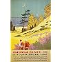 SEAGULL INDIANA DUNES STATE PARK SOUTH SHORE LINE CHICAGO ILLINOIS VINTAGE POSTER REPRO