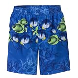 Infant Boys' Circo Fish Swim Trunks - Blue