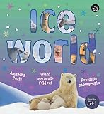 Ice world