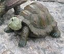 Floating Turtle Small