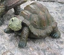 Floating Turtle Small