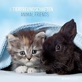 Tierfreundschaften 2012. Broschürenkalender 30 x 30 cm