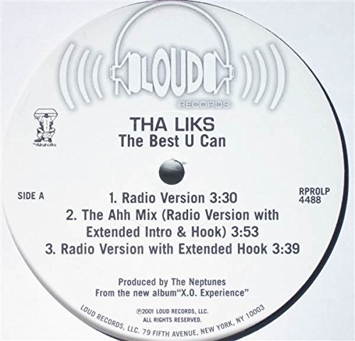 Tha Liks - The Best U Can - Zortam Music