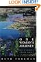 One Woman's Journey: Recovering from Grief