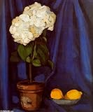 IMAGE OF FRAMED oil paintings - Tamara de Lempicka - 24 x 28 inches - Nature morte au citrons