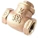 Threaded Swing Check Valve, 1/2