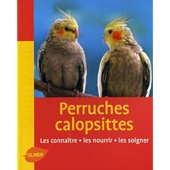 Perruches calopsittes