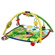 Baby Einstein Seek and Discover Activity Gym