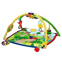 Baby Einstein Seek and Discover Activity Gym
