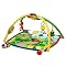 Baby Einstein Seek and Discover Activity Gym