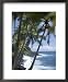 Puna (Black Sand) Beach, Island of Hawaii (Big Island), Hawaii, USA Scenic Framed Art Poster Print by Ethel Davies, 18x22