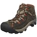 Men's Keen Targhee II Mid - KN1217BRBG
