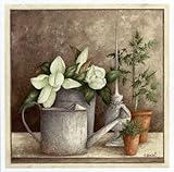 Arrosoir Et Fleurs Beautiful MUSEUM WRAP CANVAS Print with Added BRUSHSTROKES Vincent Perriol 20x20