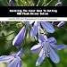Book Mastering The Inner Game To Selling USB Flash Drives Online