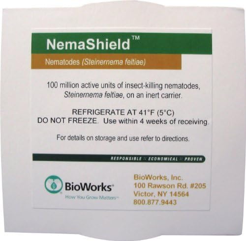 NemaShield - Biological Control for Fungus Gnats