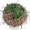 FOOD BALL FOR RABBITS, RODENTS, SMALL ANIMALS 10CM TOY