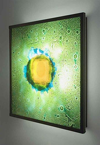 FN Big Bronze Framed Fluorescent Wall Sconce