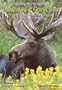 Yellowstone and Grand Teton - Seasons of the National Parks