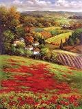 101 Views of The Red Fence Garden by Mike Smith. Art Print On Canvas.. 24 inches width by 24 inches height.