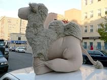 GIANT 36