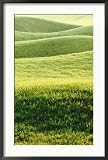 Perfect Lawn, Mount Juliet, Co Kilkenny, Ireland, Golf Course Same as Feature Pic No Framed Photographic Poster Print by Georgia Glynn-smith, 25x36
