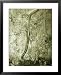 Earthworm in Burrow Underground Framed Photographic Poster Print by Oxford Scientific, 25x31