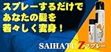 彩髪Zスプレー ブラック