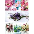Florals Assorted Fold'n Please Cards - Set of 3 Cards
