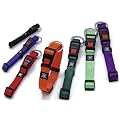 Karlie - ART SPORTIV PLUS Halsband verstellbar - Rot 15mm 30-45cm