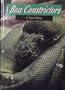 Boa Constrictors (Snakes Discovery Library)