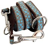 Nylon Leine DD - 200x2cm - türkis, braun - Top Qualität - Dogs Stars