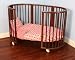 Gustav Maxwell 301-1200 Stokke 5 pc Crib Tea Rose Flowers and Stripes Set