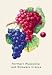 Northern Muscadine and Delaware Grapes 16X24 Canvas