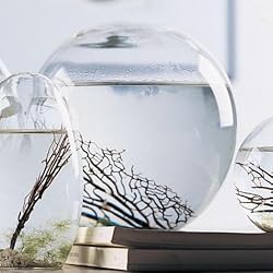 Large 6" EcoSphere
