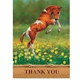 Tree Free Frolicking Foal Equine Thank You Cards - 12 Cards and envelopes