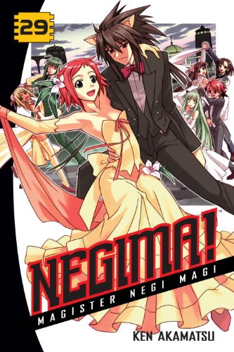 Negima! 29: Magister Negi Magi (Negima!: Magister Negi Magi)