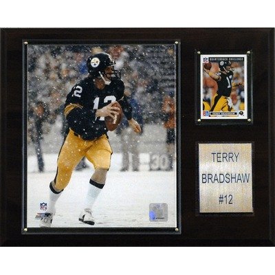 NFL Pittsburgh Steelers Terry Bradshaw Player Plaque