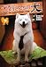 倉木 佐斗志: 犬飼さんちの犬〈下〉 (竹書房文庫)