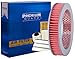 PG Air Filter PA110 | Fits 1971-73 Ford Pinto, 1971-72 Mercury Capri, 1979-82 Nissan 210, 1971-73 1200, 1987 200SX, 1967-68 520 Pickup, 1969 521 Pickup, 1974-78 B210, 1983 Pulsar, 1983-88 Pulsar NX