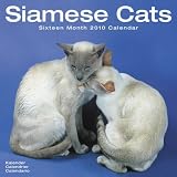 Siamese Cats 2010 Wall Calendar 12 X 12