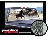HORSES 1-16x54 - Rear Window Graphic-compact p/u truck horse scene