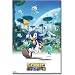 Sonic Colors Cover Art Video Game Poster Print - 22x34