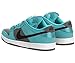 Nike Men's Dunk Low Pro SB Skate Shoe