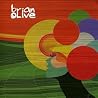 Image of album by Brian Olive