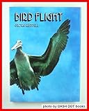 Bird flight