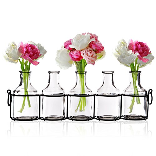 Set of 5 Clear Glass Mini Vases in Black Metal Rack, 5Inches
