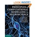 Principles of Computational Modelling in Neuroscience