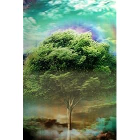 Four Seasons Tree 3D Picture, A Large 3D Wall Art, Ready To Frame, 35 x 50 cms